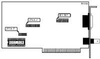 DANPEX CORPORATION   EN-1000
