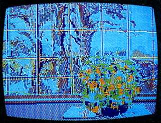 window