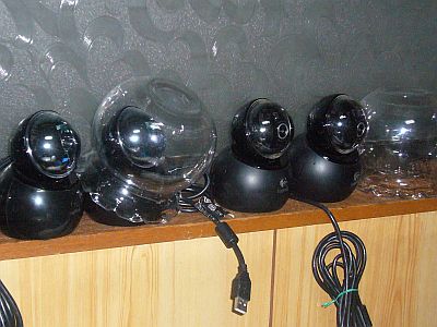 図49:Qcma Orbit /AF達