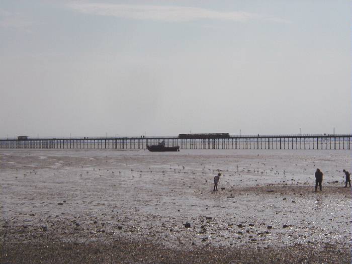 Distant view of train