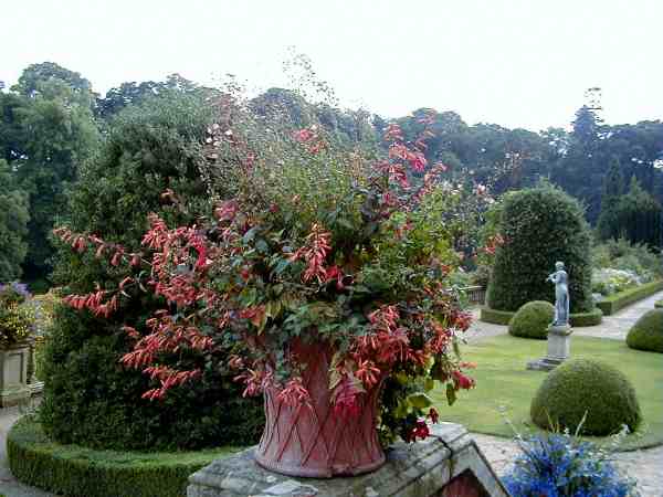 Powis garden